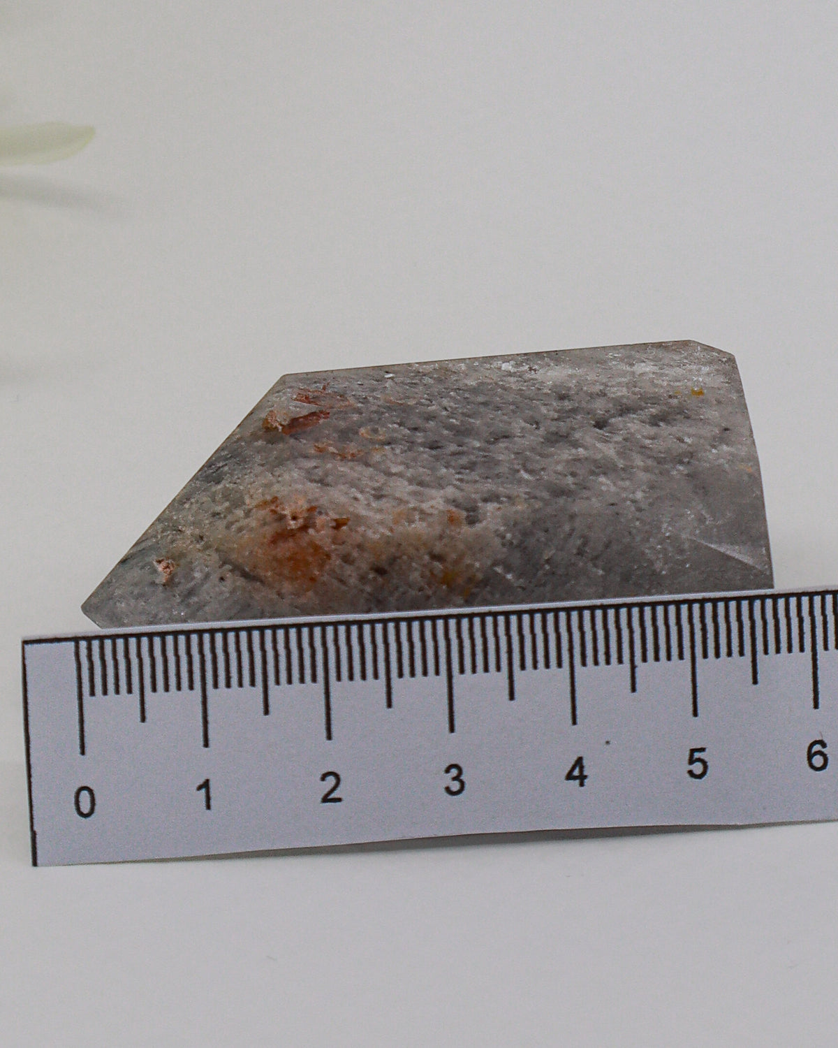 Phantom Garden Quartz Point 83g – The Ancient Forest | Transformation & Spiritual Growth