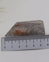 Phantom Garden Quartz Point 83g – The Ancient Forest | Transformation & Spiritual Growth