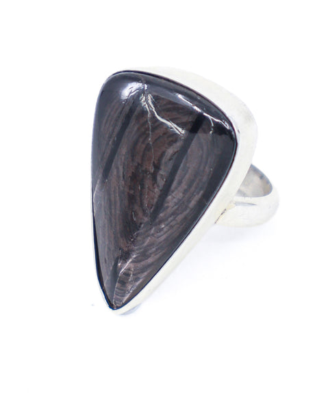 Hypersthene Sterling Silver Ring Size 8 – The Mystic Shield | Intuition & Protection