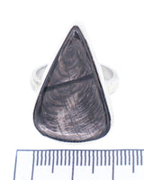 Hypersthene Sterling Silver Ring Size 9 – The Shadow Seer | Intuition & Protection