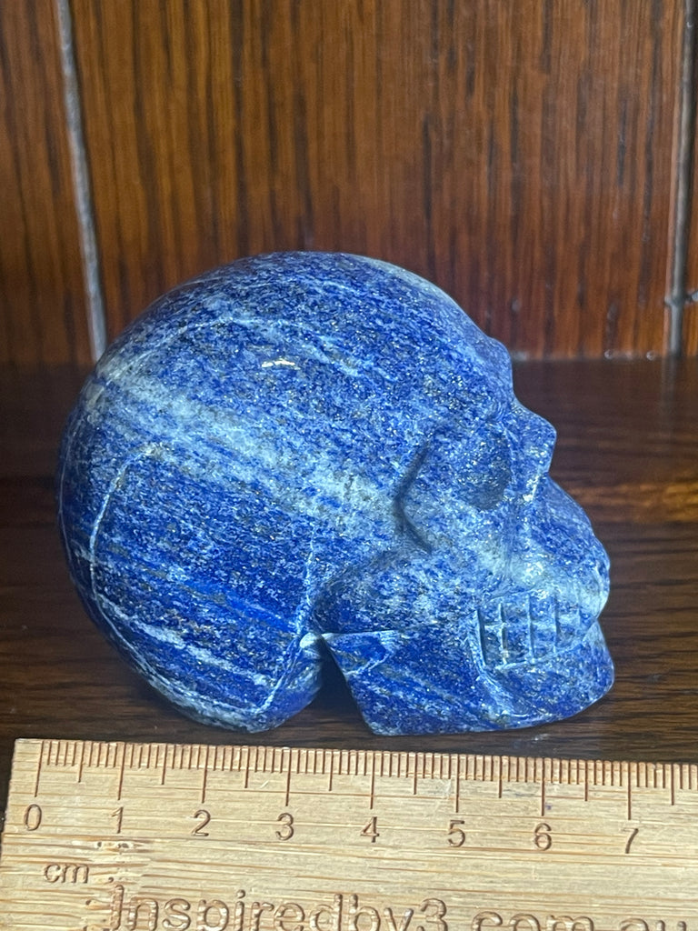 Lapis Lazuli Skull Carving 340g - Concentration