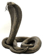 King Cobra Snake Statue in cold cast bronze – symbol of power, protection and transformation
