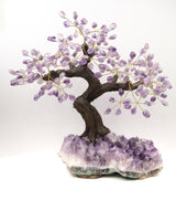 Amethyst Gemstone Bonsai Tree on Natural Amethyst Cluster | 48 Branches | 6.8kg | Spiritual Protection & Intuition