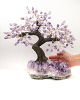 Amethyst Gemstone Bonsai Tree on Natural Amethyst Cluster | 48 Branches | 6.8kg | Spiritual Protection & Intuition