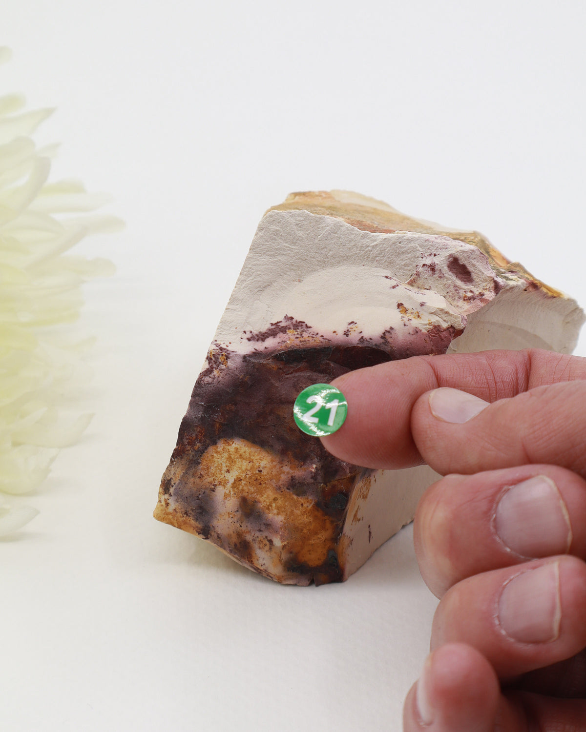 Mookaite Jasper Natural Specimen – Earthbound Courage