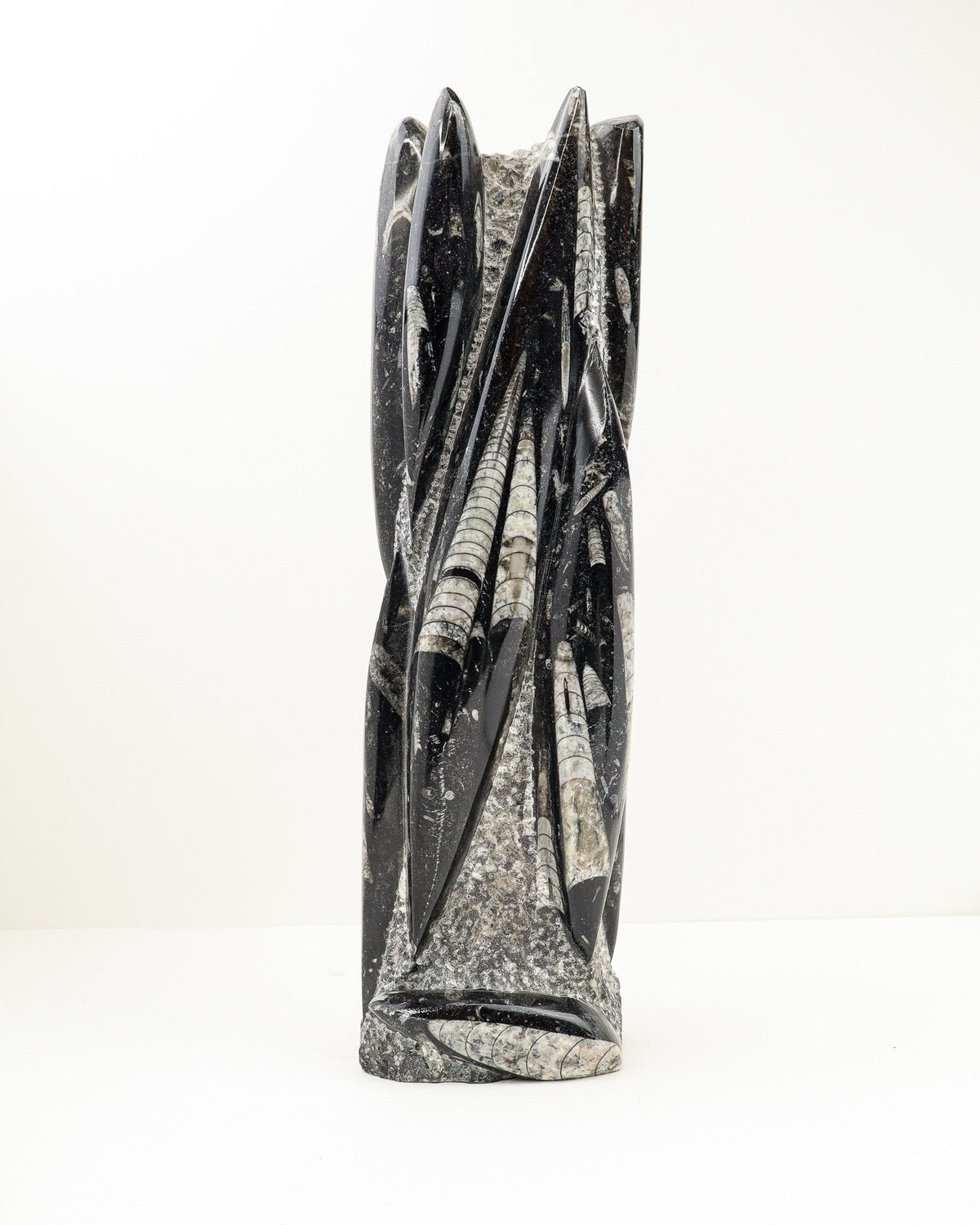 Orthoceras Fossil Tower – Ancient Wisdom, Grounding & Transformation | 3.9kg