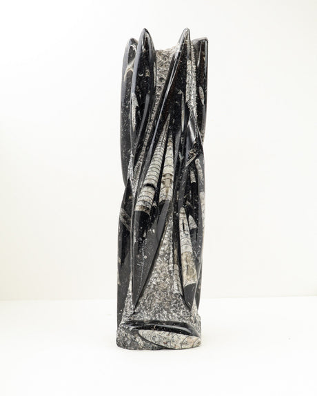 Orthoceras Fossil Tower – Ancient Wisdom, Grounding & Transformation | 3.9kg