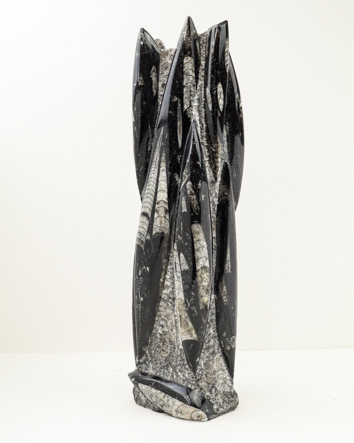 Orthoceras Fossil Tower – Ancient Wisdom, Grounding & Transformation | 3.9kg