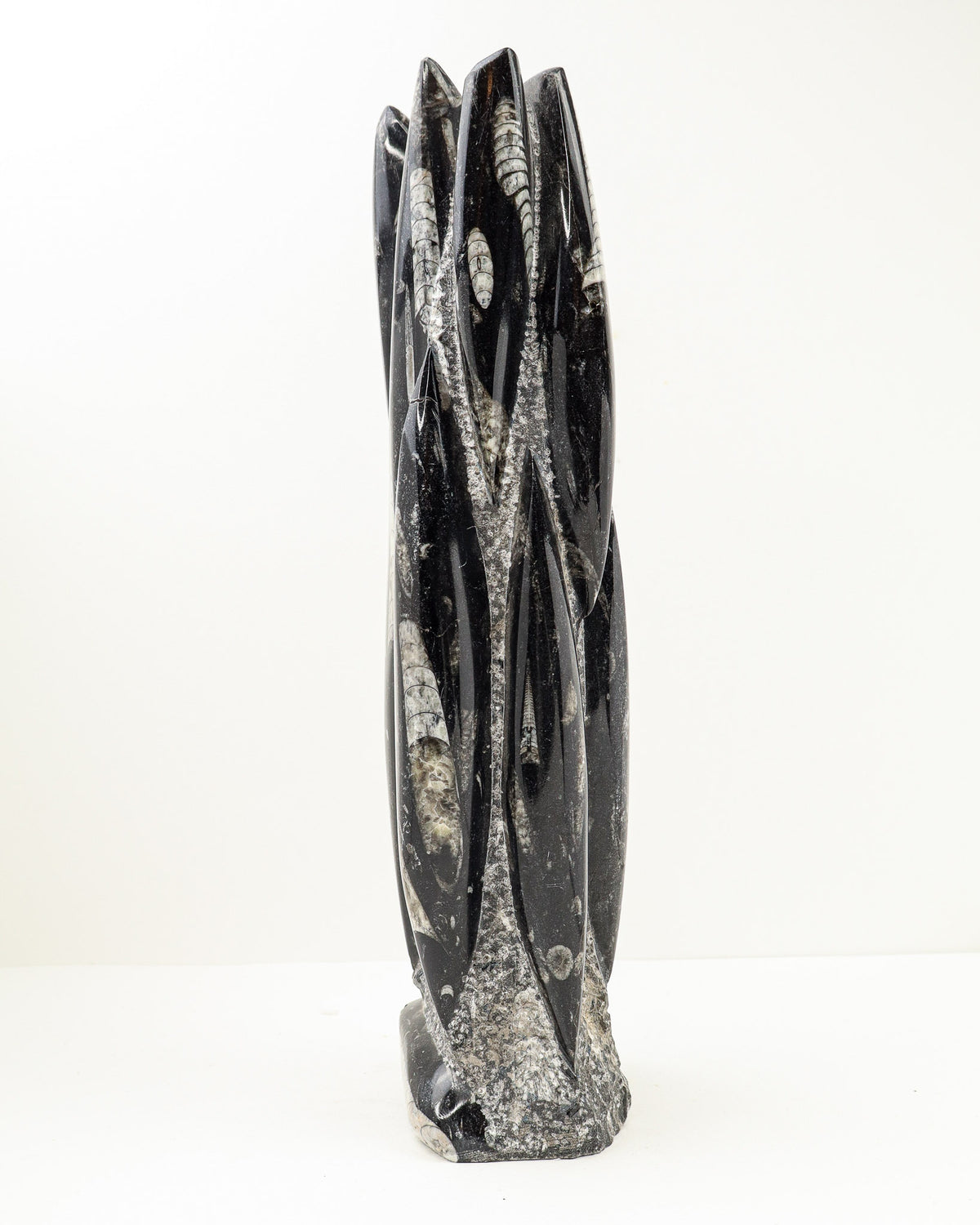 Orthoceras Fossil Tower – Ancient Wisdom, Grounding & Transformation | 3.9kg