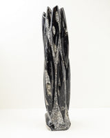 Orthoceras Fossil Tower – Ancient Wisdom, Grounding & Transformation | 3.9kg