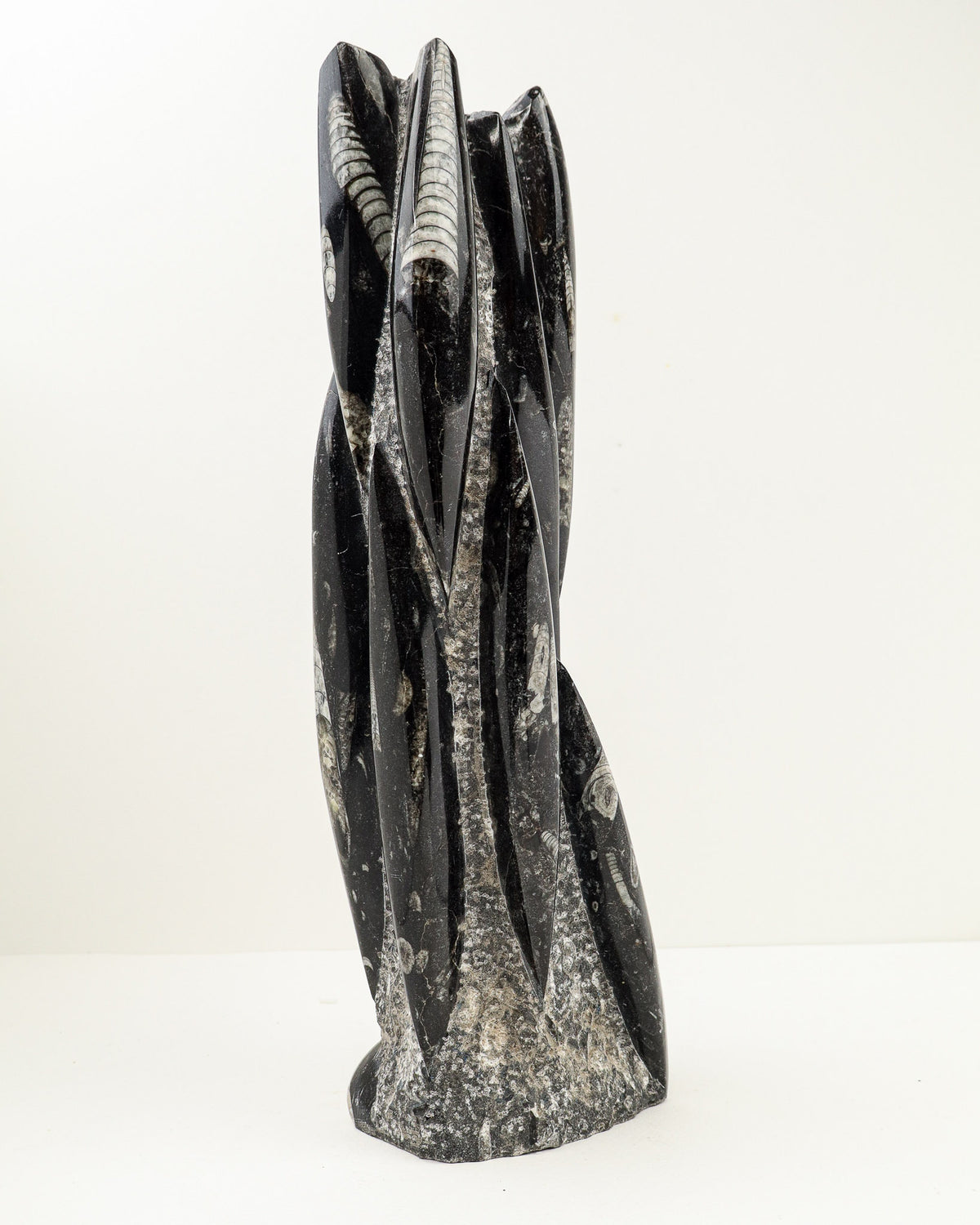 Orthoceras Fossil Tower – Ancient Wisdom, Grounding & Transformation | 3.9kg