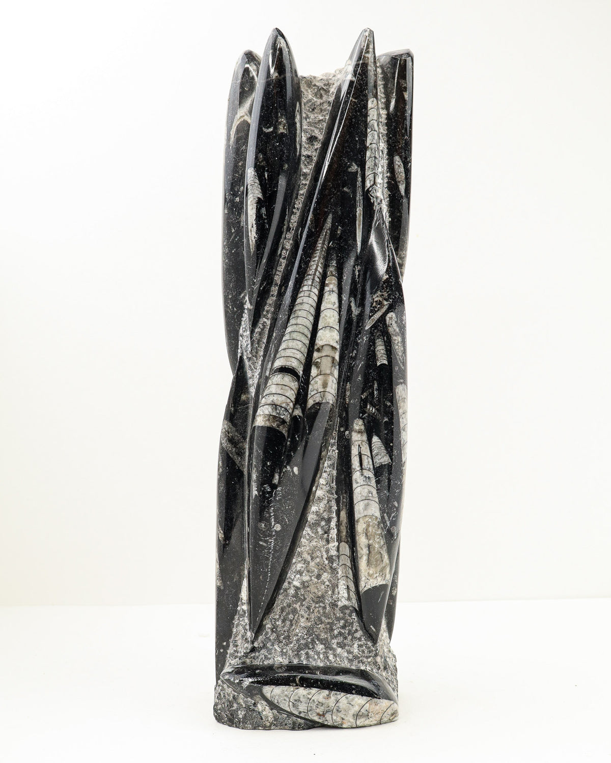 Orthoceras Fossil Tower – Ancient Wisdom, Grounding & Transformation | 3.9kg