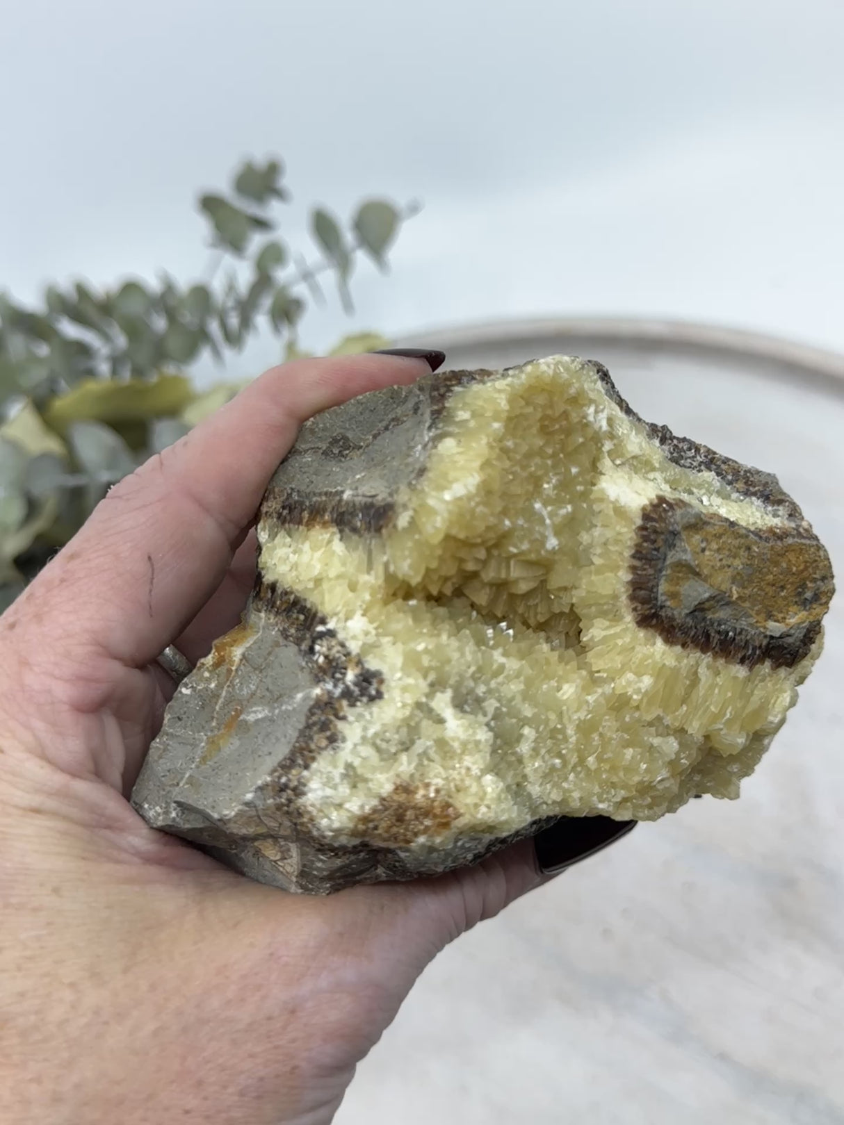 Septarian Jasper Specimen 517g (11x7cm) – Stone of Grounding, Protection & Ancient Wisdom