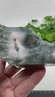 Moss Agate Dragon Head Carving – Earth Magic, Strength and Elemental Wisdom