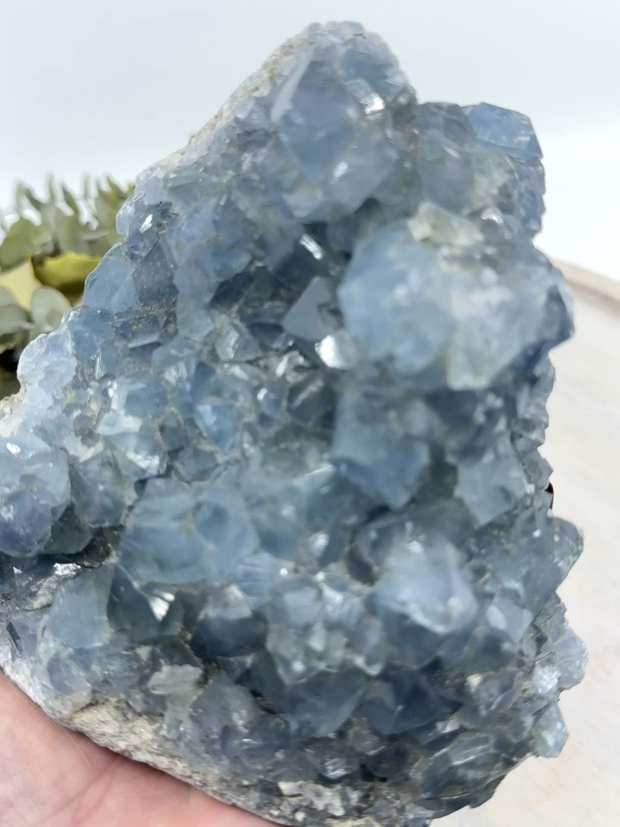 Celestite Cluster 2kg (15cm) – Stone of Angels, Peace & Tranquility