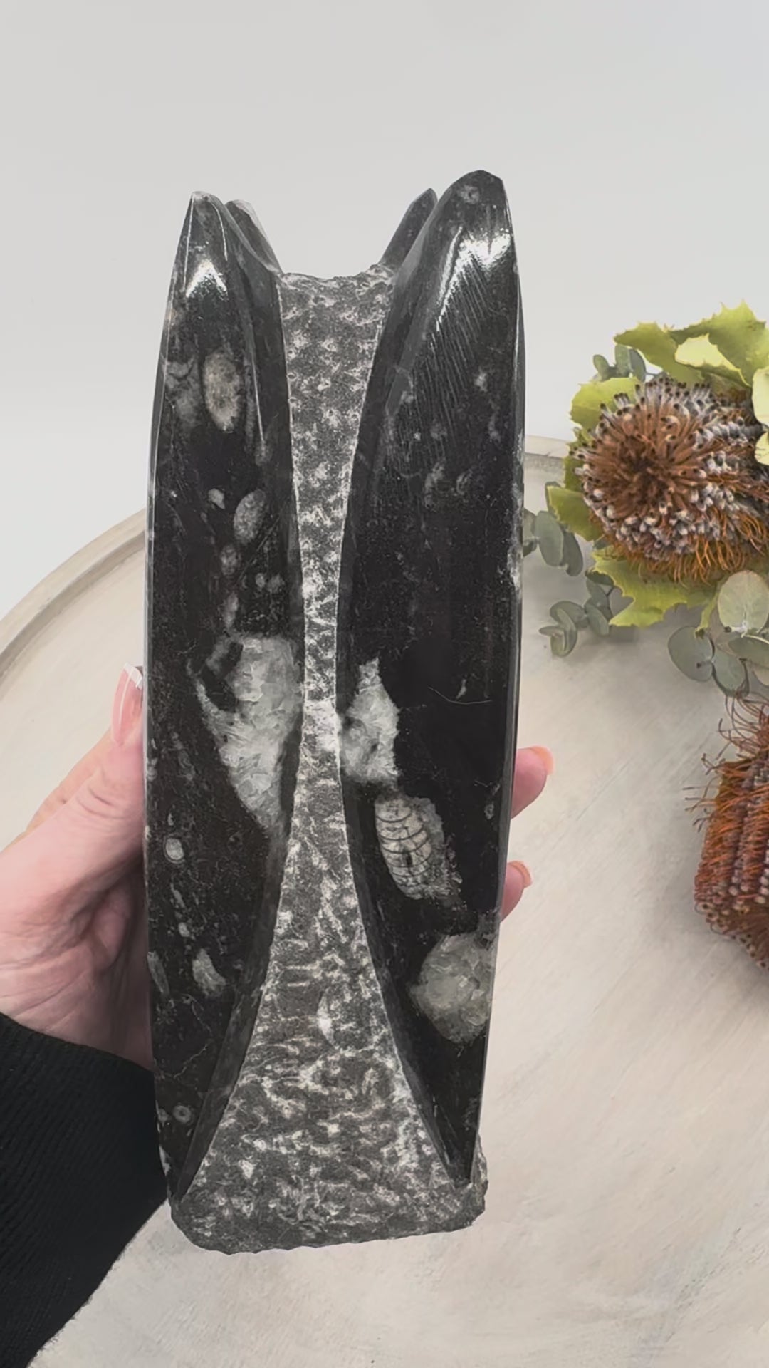 Fossil Orthoceras Tower | Ancient Healing Fossils for Transformation | 1.3Kilos