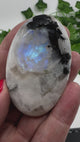 Rainbow Moonstone Palmstone - “My mind is open to new possibilities and opportunities”.