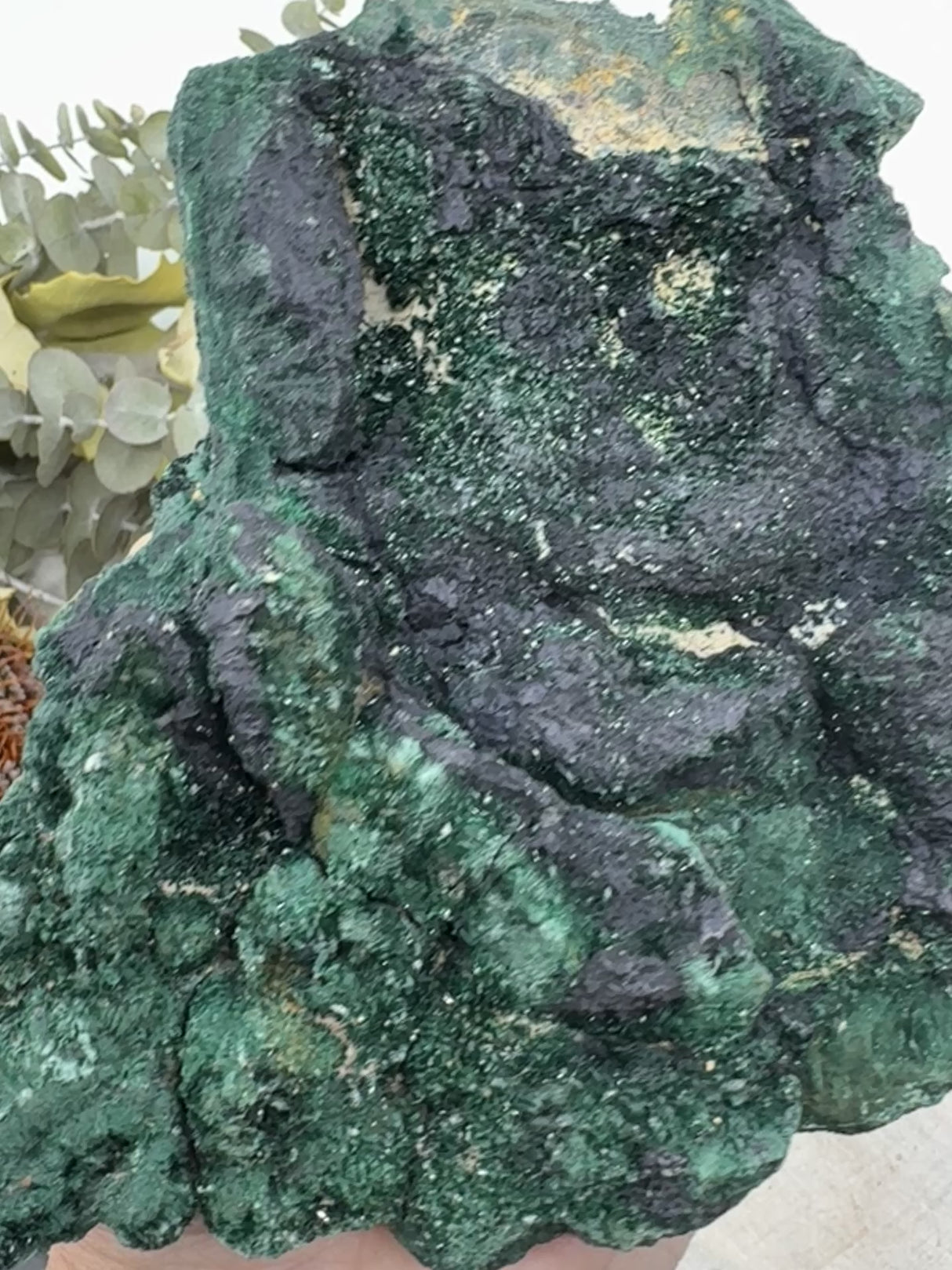 Atacamite & Covellite Specimen 1.15kg (13cm) – Stone of Transformation, Clarity & Higher Insight