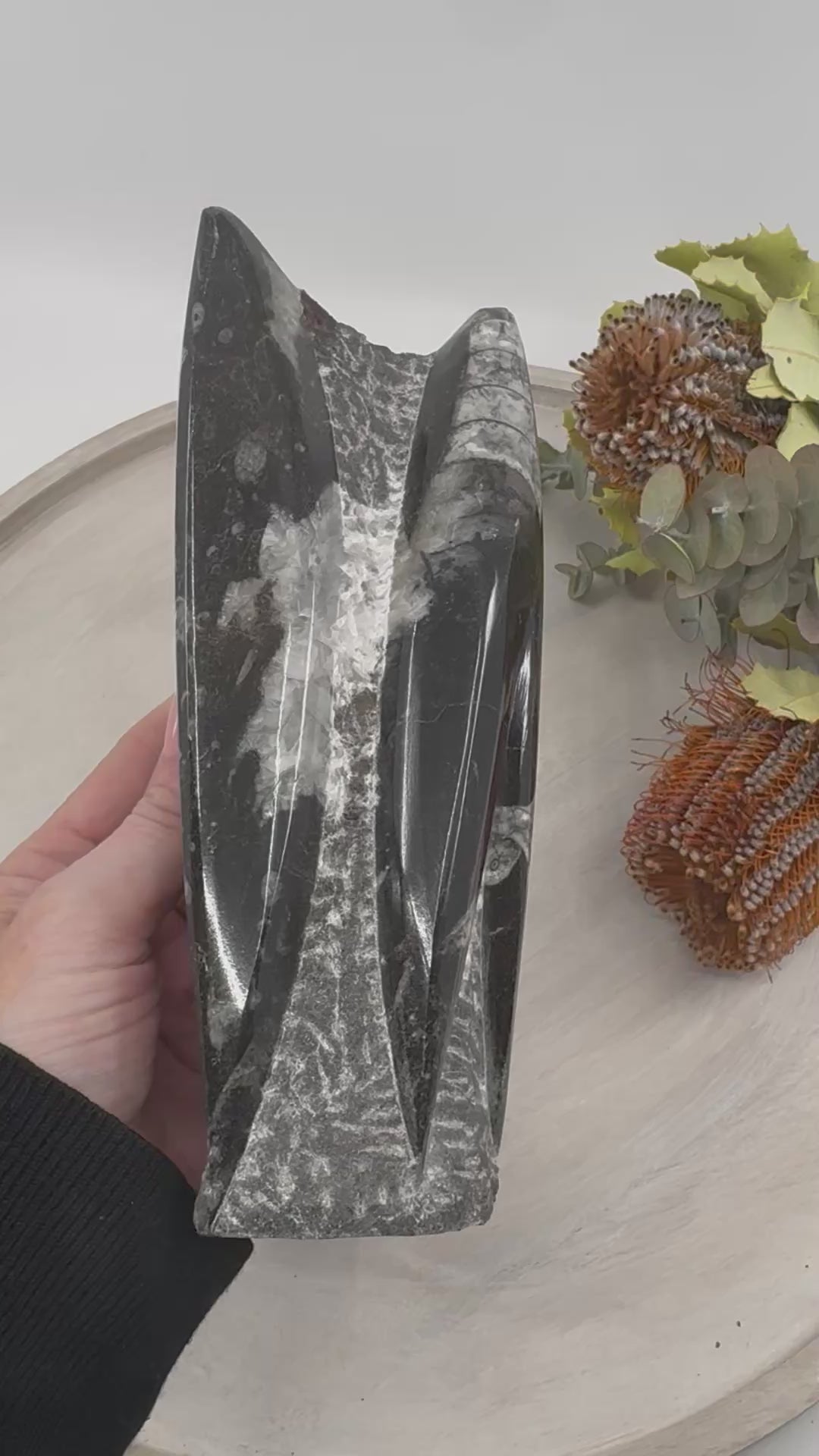 Fossil Orthoceras Tower | Ancient Healing Fossils for Transformation | 1.214Kilos