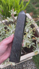 Arfvedsonite with Garnet Flash Tower 23cm 819g