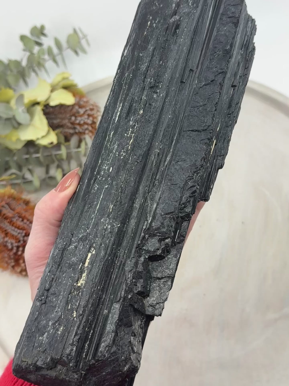 Black Tourmaline Specimen – 2.43kg Protective Crystal