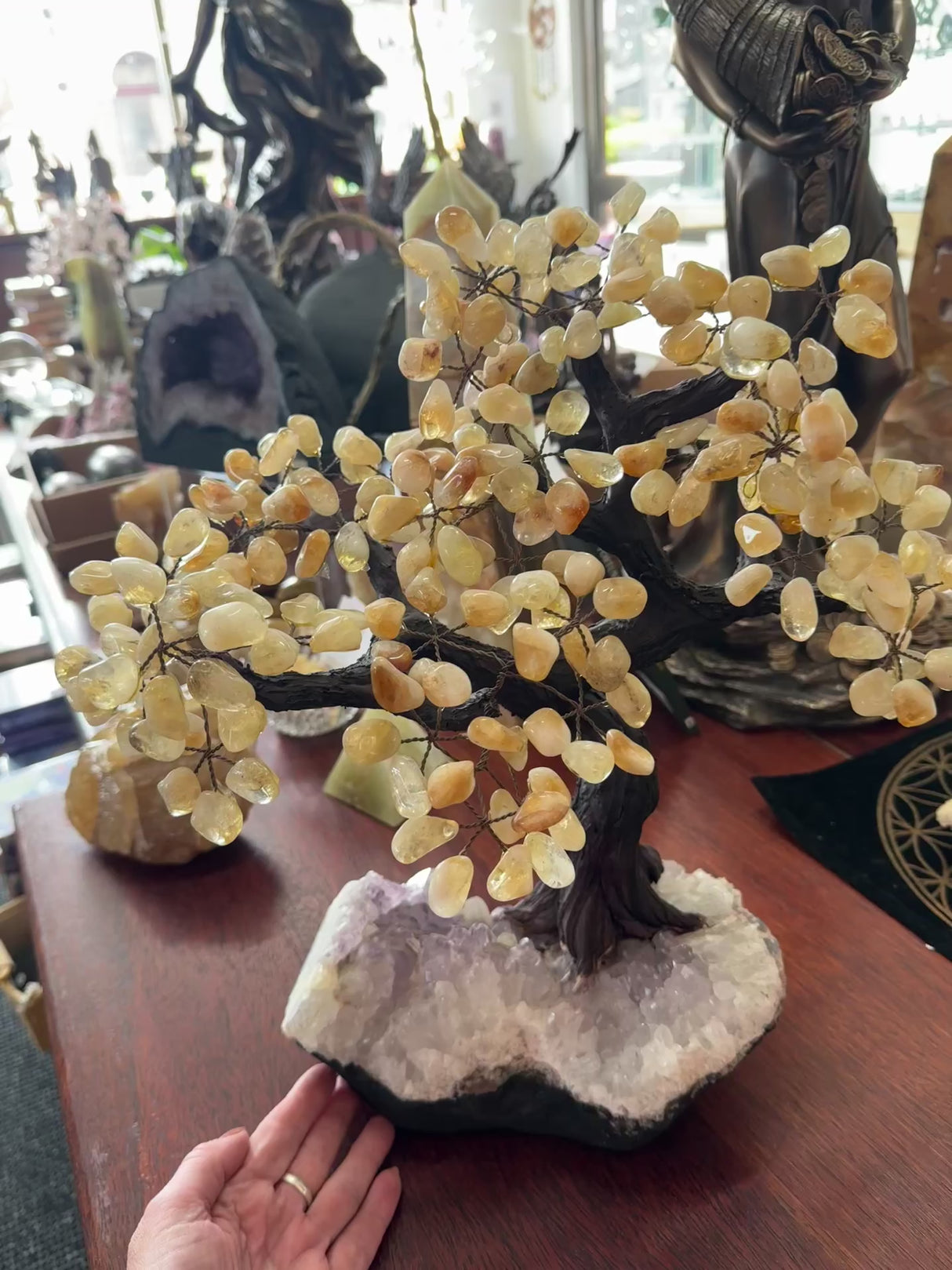 Large Citrine Gemstone Bonsai Tree – 5kg on Amethyst Base for Abundance & Harmony