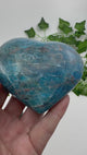 Apatite Blue Heart Carving 510g - "I work relentlessly each day to achieve my goals."