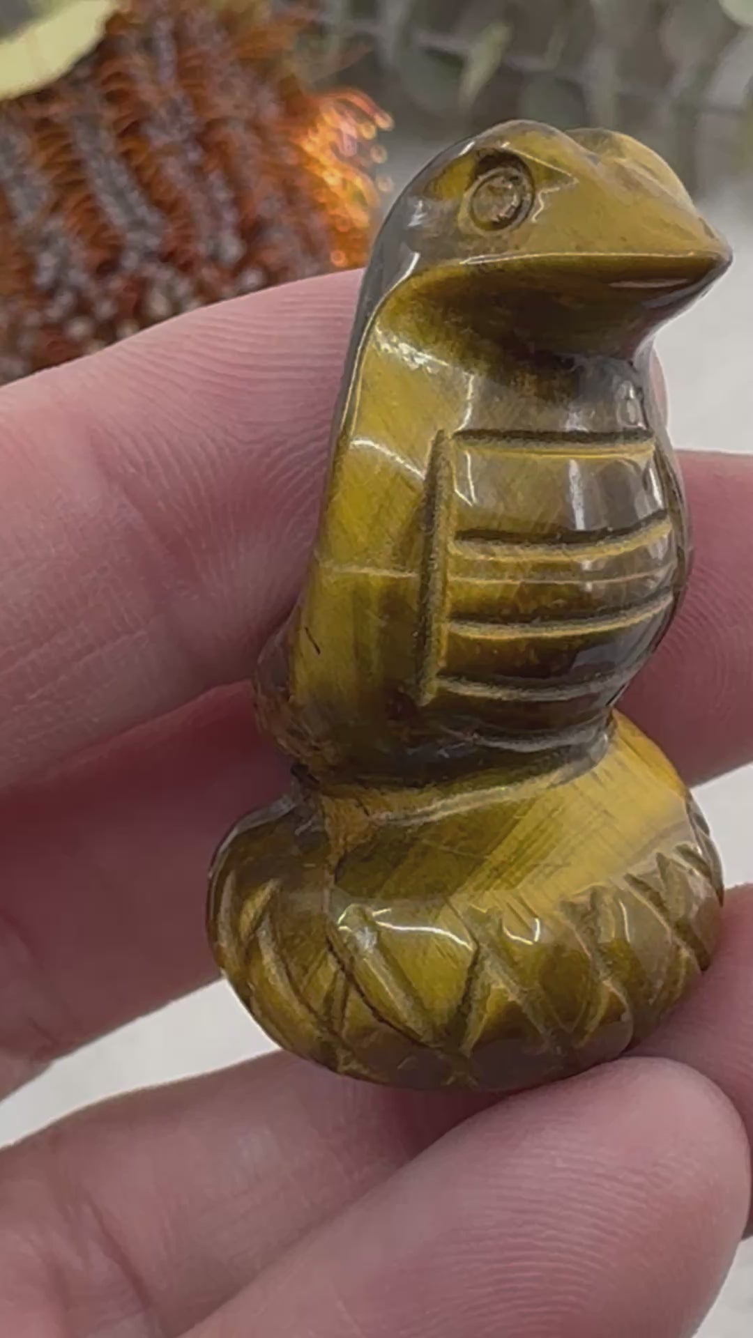 video of Tiger Eye Snake Carving 4 cm × 3 cm – golden-brown crystal snake symbolising courage, wisdom and protection, Inspired By 3 Australia.