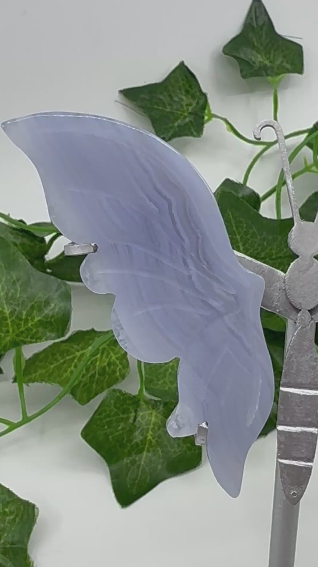 Blue Lace Agate Butterfly Wings on Stand – Tranquility, Transformation and Angelic Communication