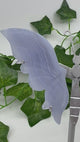Blue Lace Agate Butterfly Wings on Stand – Tranquility, Transformation and Angelic Communication