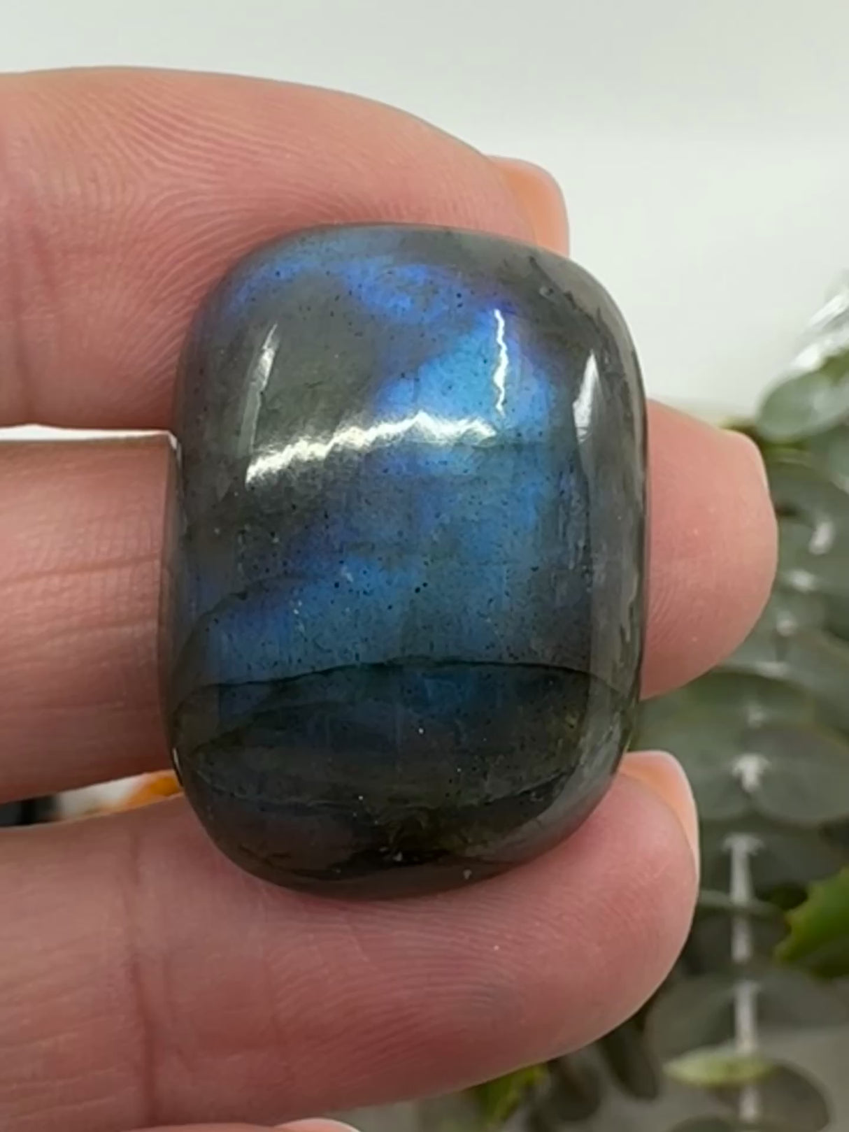 Labradorite Cabochon | Jewellery Making & Transformation Stone