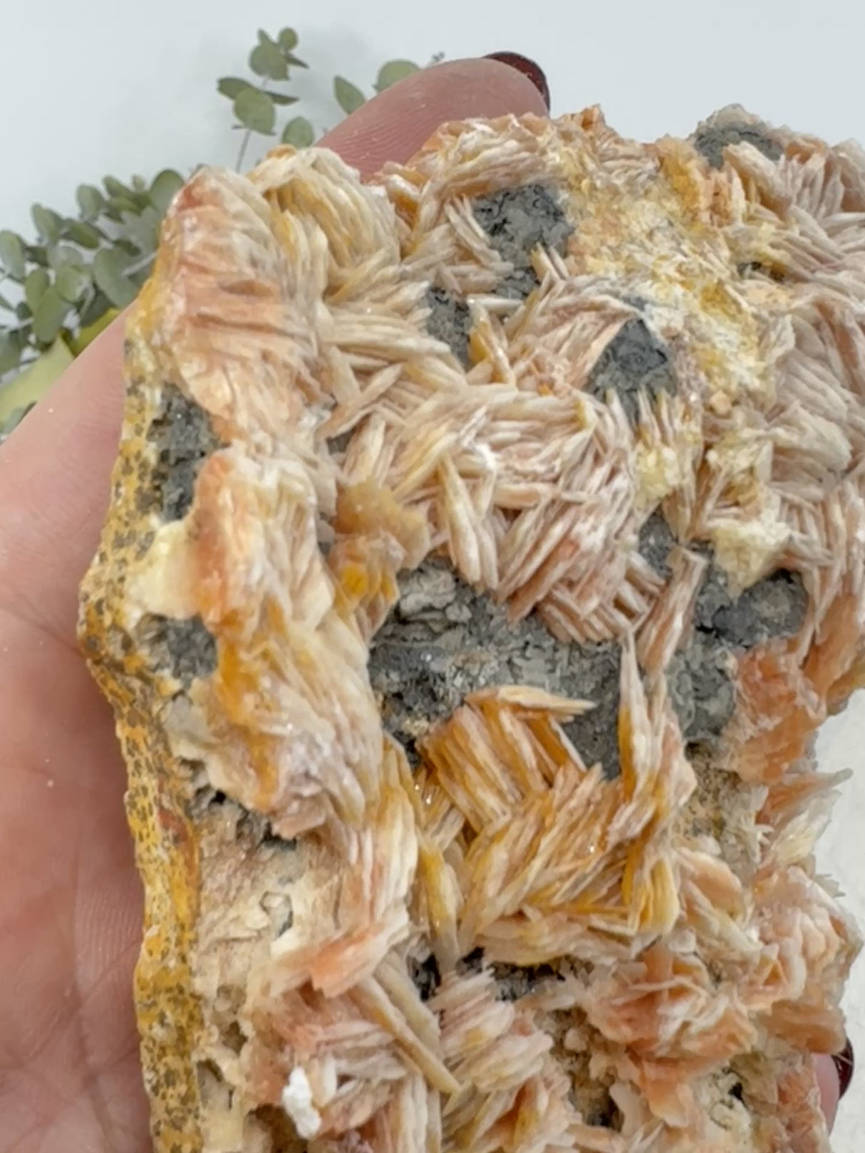 Barite Flower with Cerussite & Galena 424g (11x7cm) – Stone of Grounding, Insight & Angelic Connection