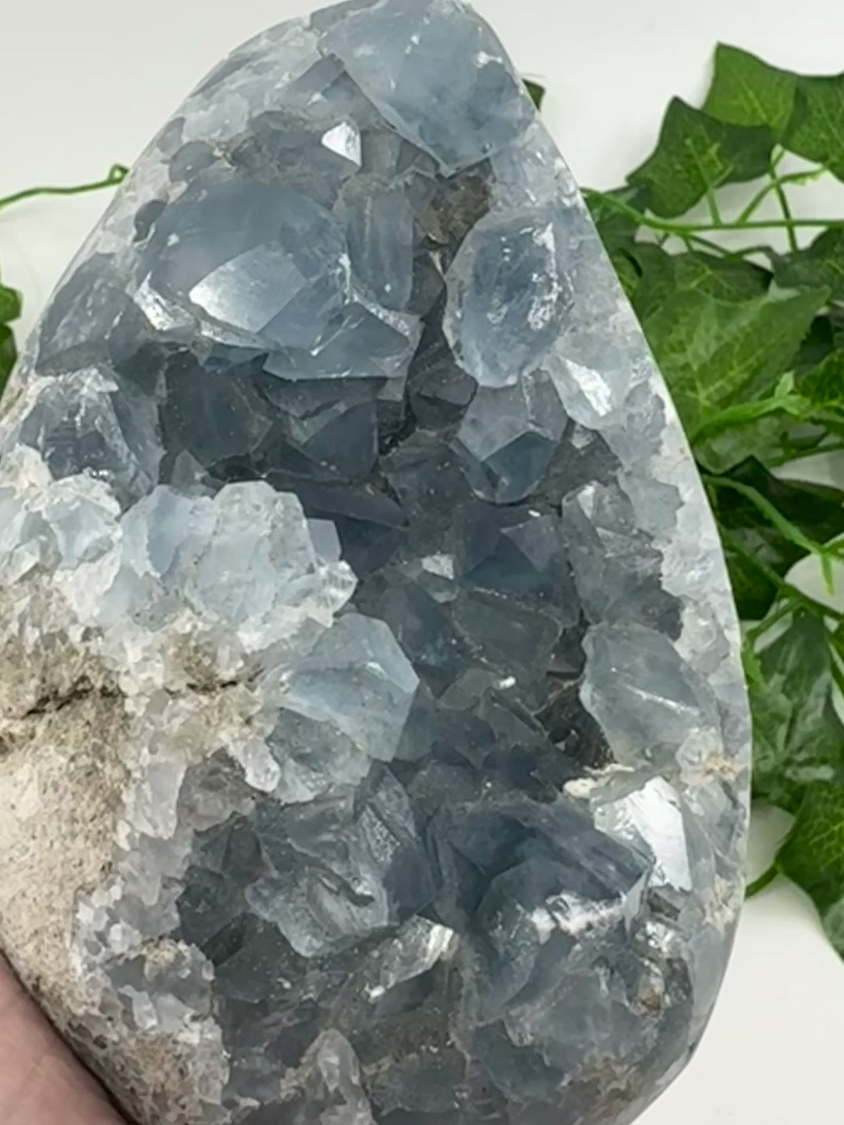 Celestite Egg 1.7kg – Whisper of the Angelic Realms