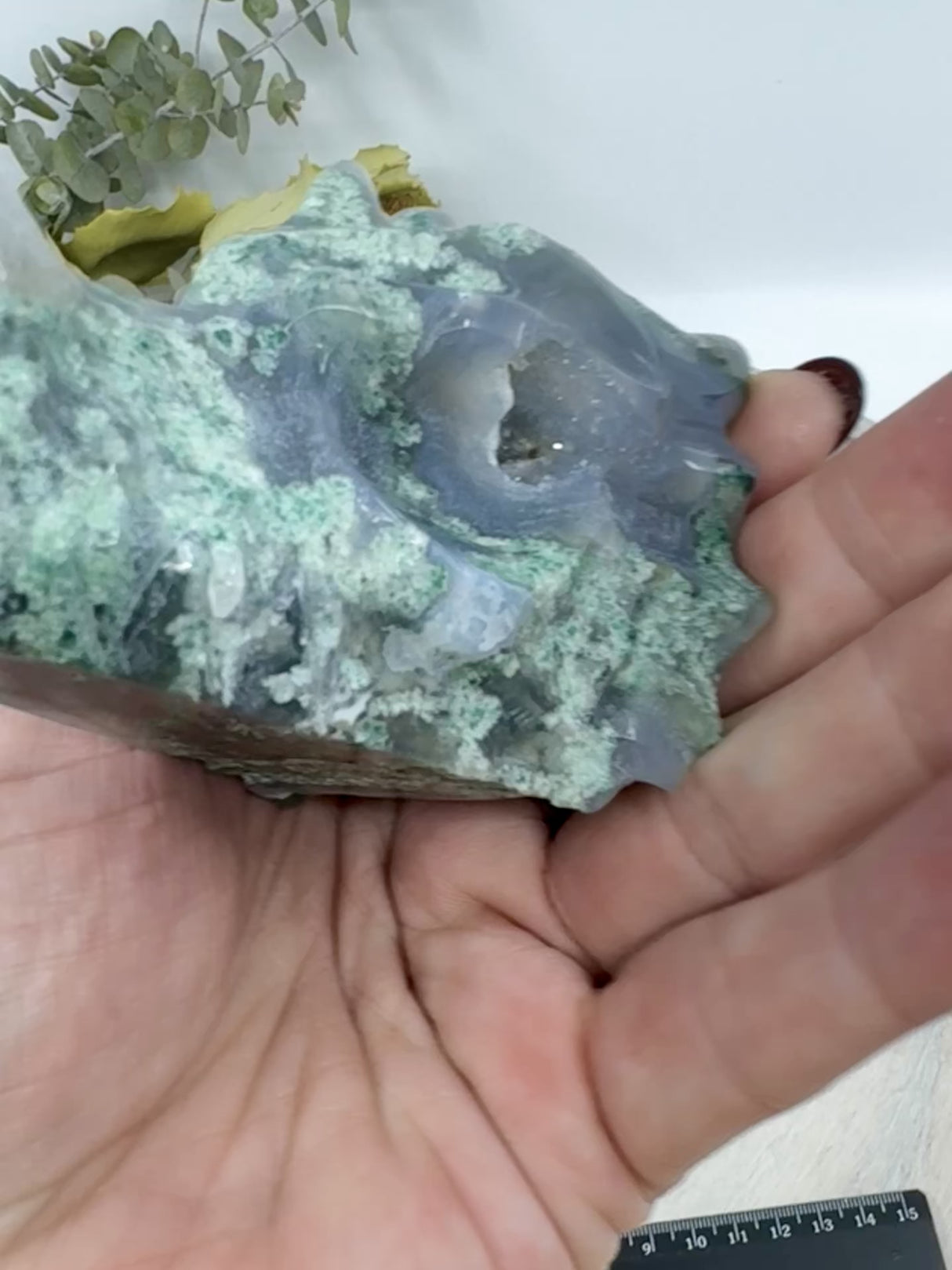 Moss Agate Dragon Head Carving 220g (8.5x5cm) – Stone of Protection, Growth & Ancient Wisdom