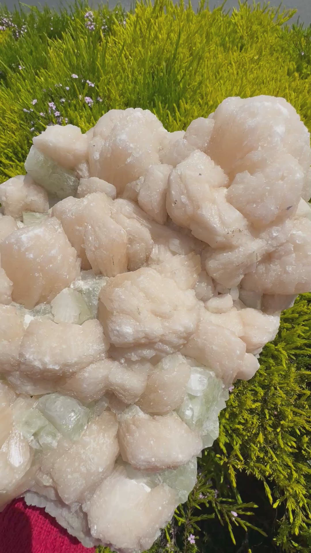Apophyllite cluster 5.2kg – spiritual crystal for clarity and healing