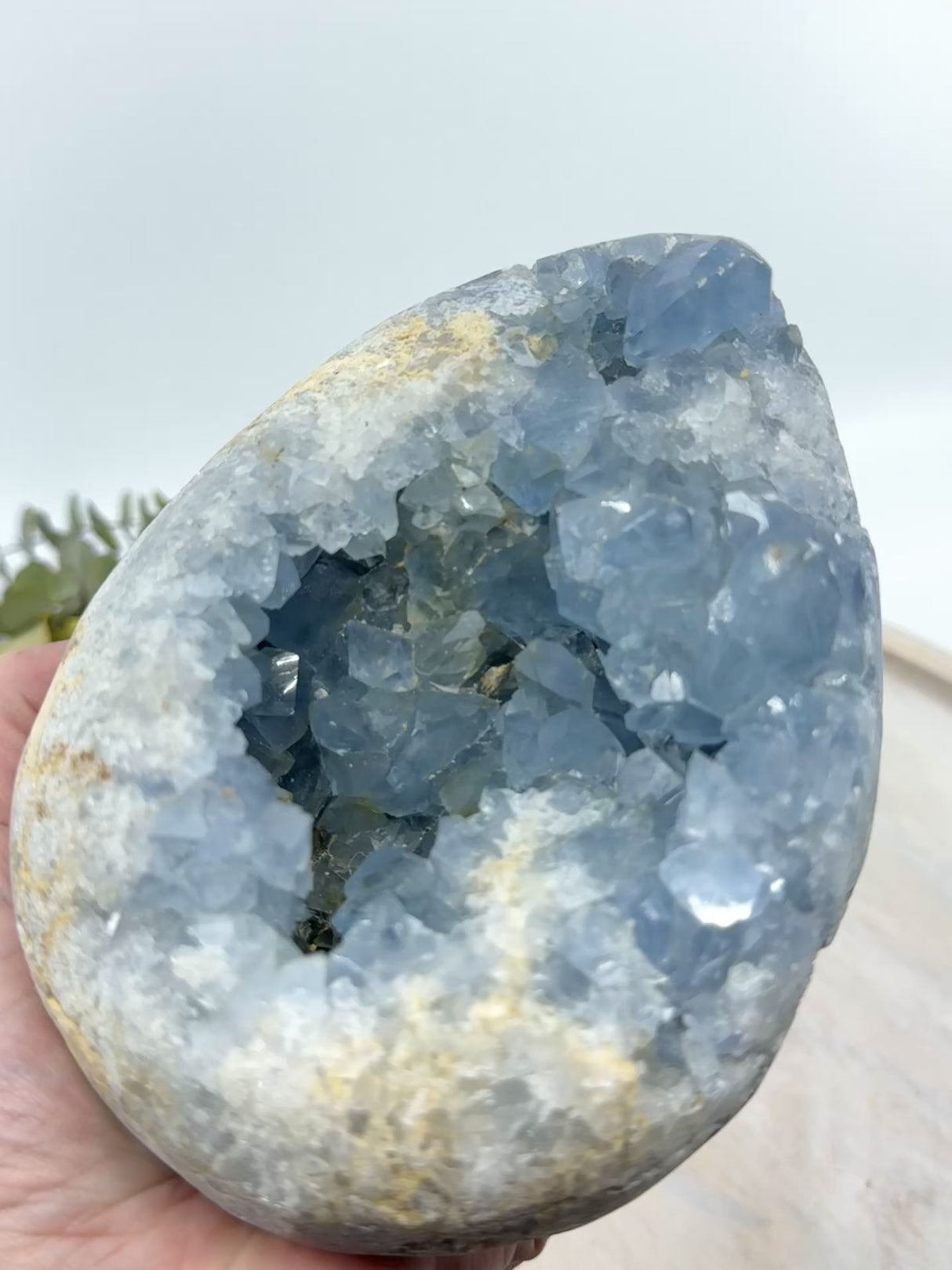 Celestite Egg 2.4kg (18cm) – Stone of Angels, Peace & Divine Connection