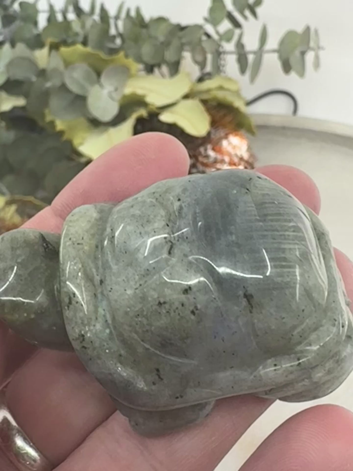 video of Labradorite Turtle Carving 5 cm × 3.5 cm – iridescent blue-green crystal turtle symbolising transformation, wisdom and protection, Inspired By 3 Australia.