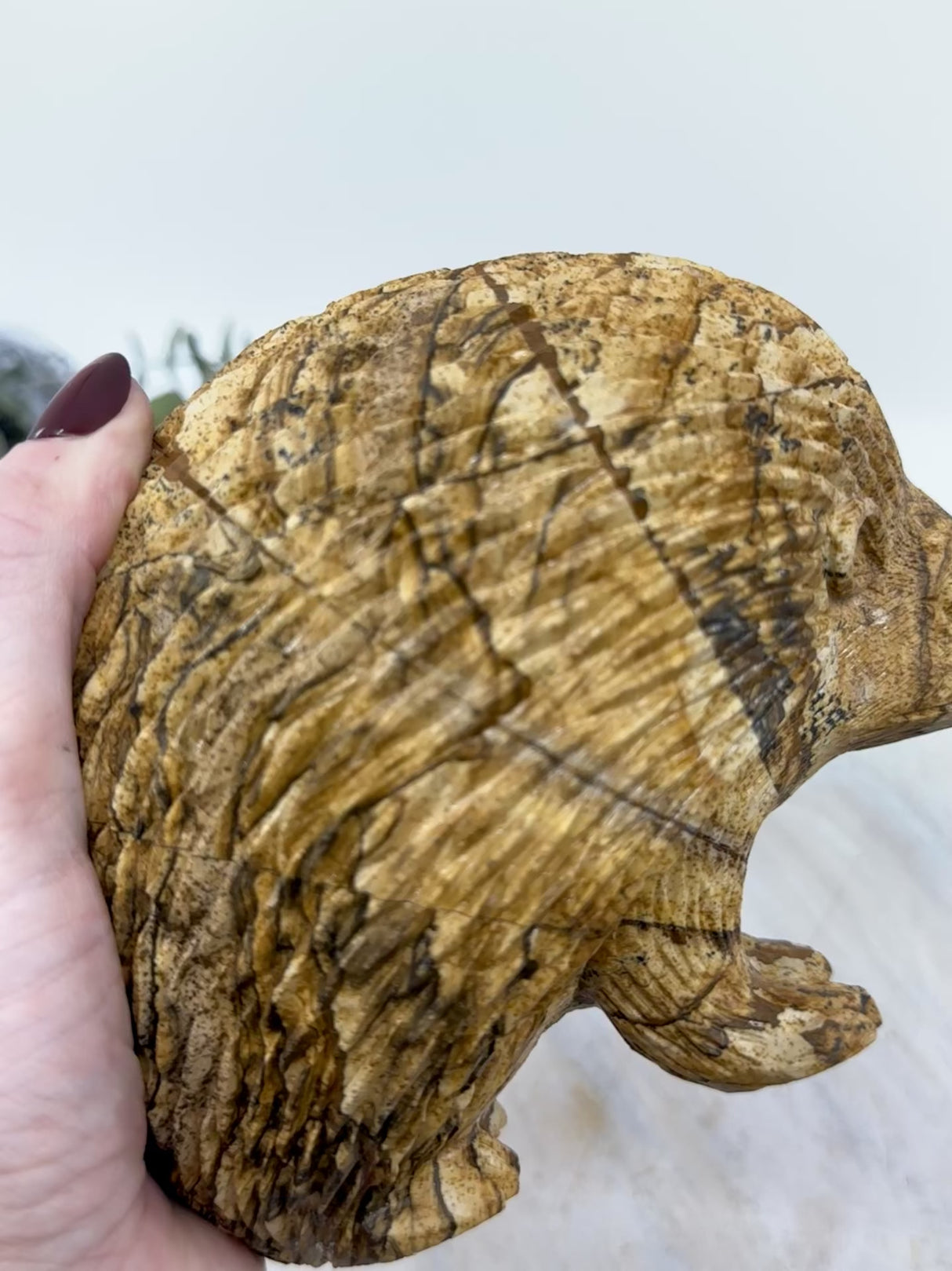 Picture Jasper Echidna Carving 2.254kg (15x13x11cm) – Stone of Earth Wisdom, Protection & Connection