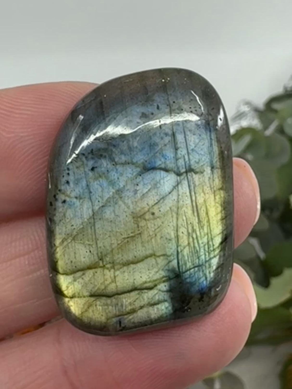 Labradorite Cabochon | Jewellery Making & Transformation Stone