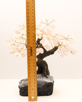 Rose Quartz Crystal Tree | 24 Branches | 2kg | Love & Emotional Healing