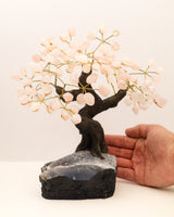 Rose Quartz Crystal Tree | 24 Branches | 2kg | Love & Emotional Healing