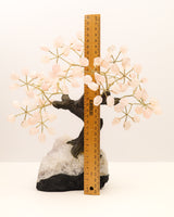 Rose Quartz Crystal Tree | 25cm | 2kg | Love & Harmony