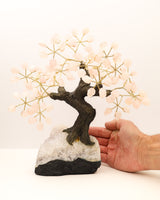 Rose Quartz Crystal Tree | 25cm | 2kg | Love & Harmony