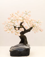 Handcrafted Rose Quartz Crystal Tree with 24 gemstone branches on a sparkling natural geode and Chalcedony style crystal base.
