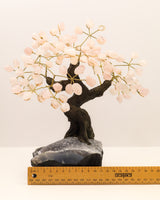 Rose Quartz Crystal Tree | 24 Branches | 2kg | Love & Emotional Healing
