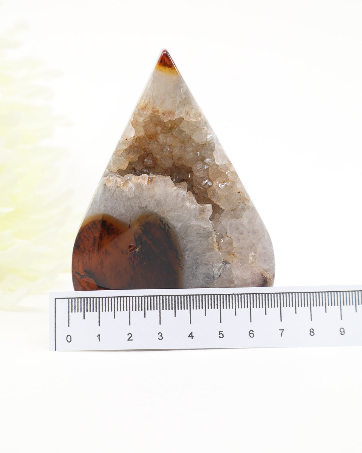Temple of Light Sardonyx Freeform