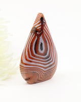 The Oracle's Eye Sardonyx Freeform