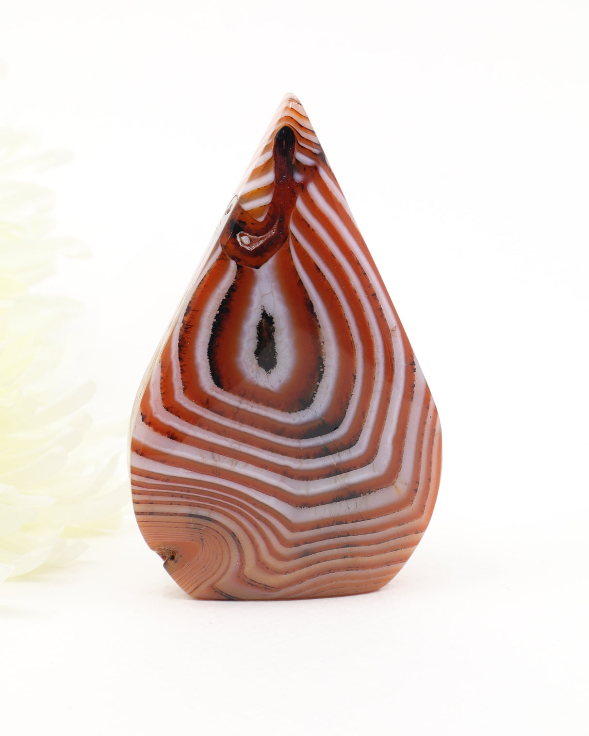 The Oracle's Eye Sardonyx Freeform weighing 155g featuring striking caramel, cream and white concentric banding with a natural eye formation, polished finish and grounding energy.