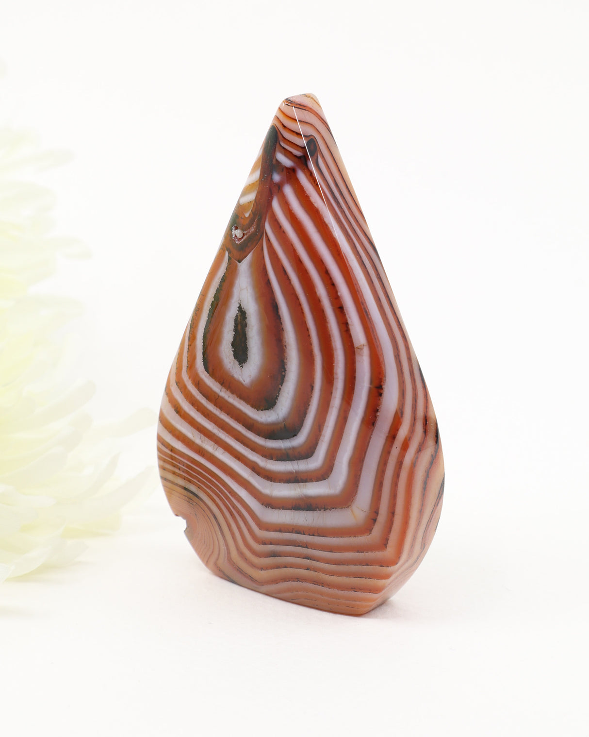 The Oracle's Eye Sardonyx Freeform