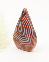 The Oracle's Eye Sardonyx Freeform